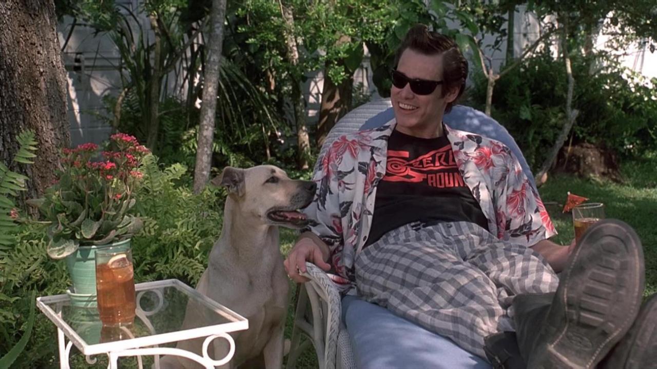 Ace Ventura, un detective diferente