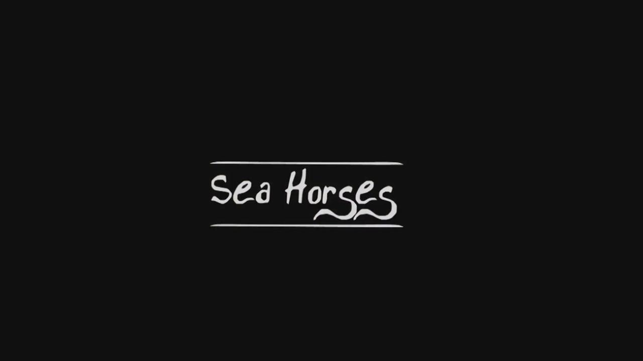 Sea Horses / 0