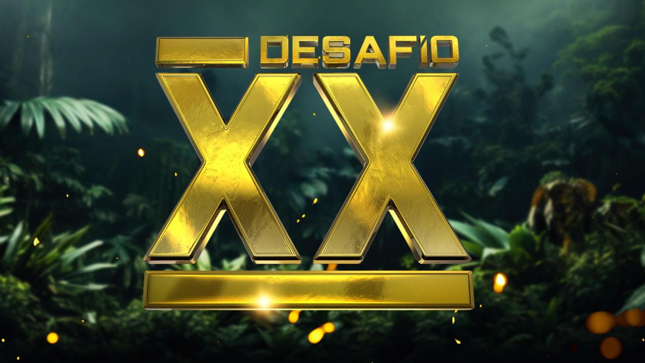 Desafío XX