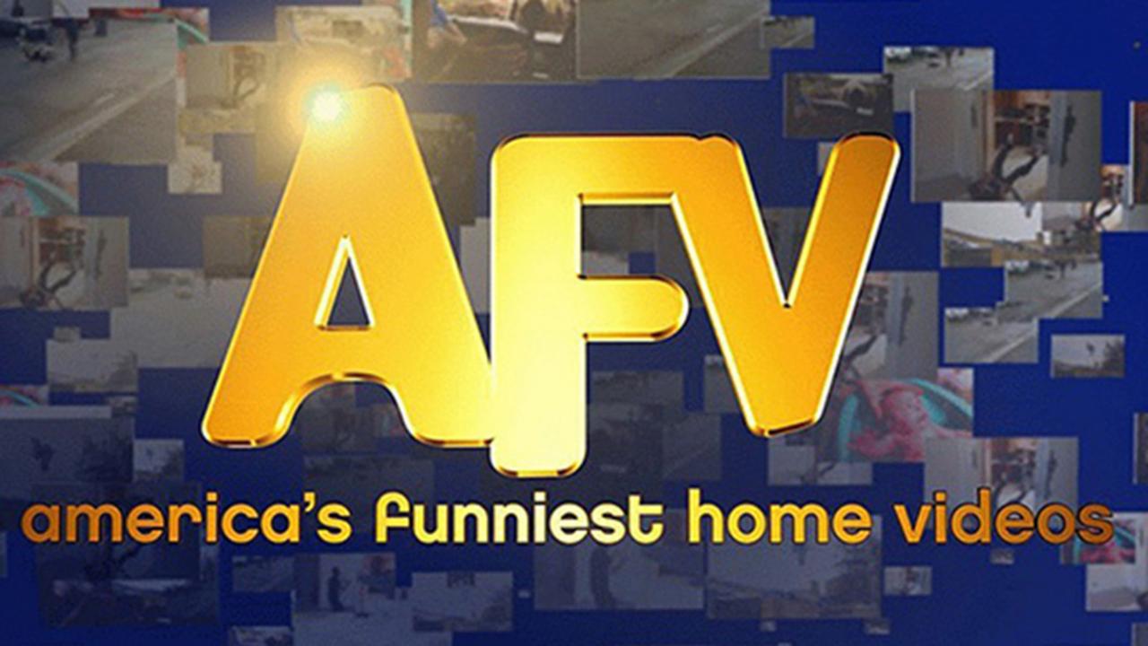 American Funniest Home Videos