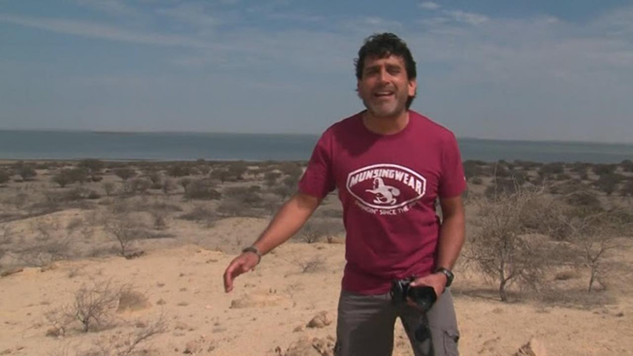 Antología - Reportaje al Perú